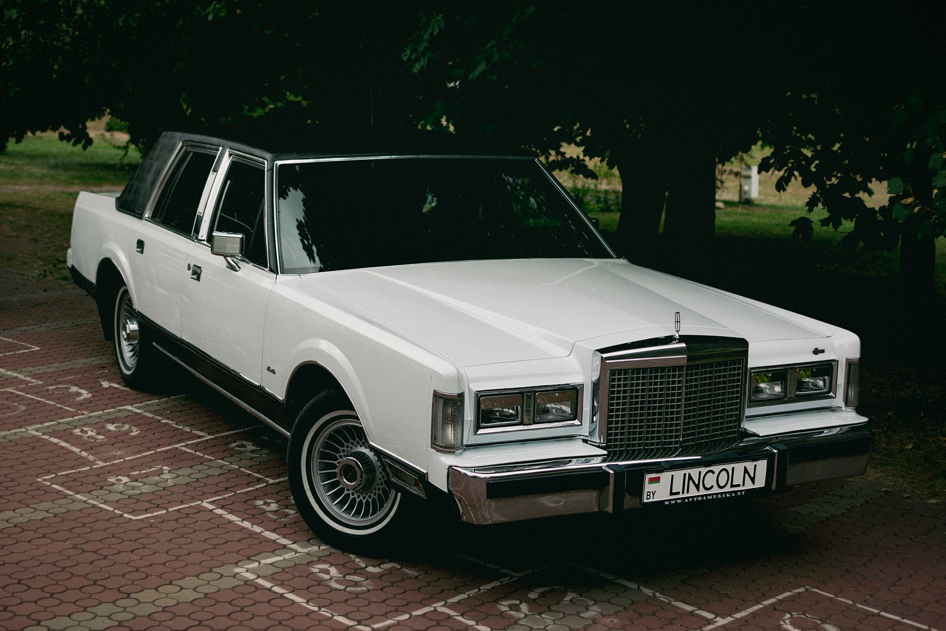 ليموزين الإسكندرية   الإسكندرية | Super Limousine Egypt